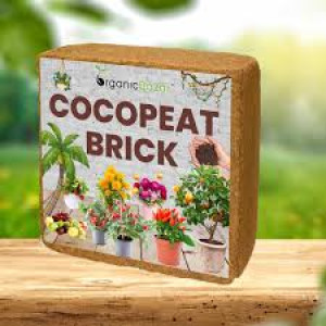 cocopeat for plants 3kg